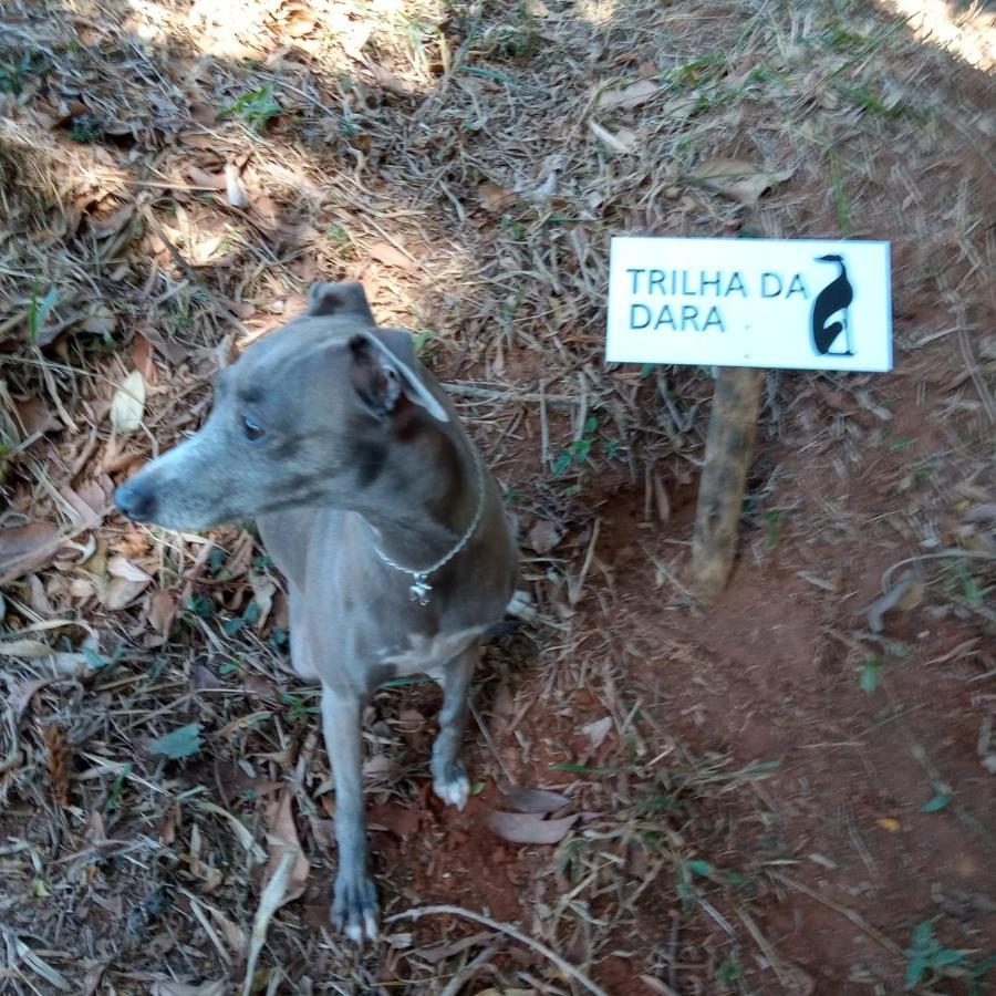 Apartmán Casa Do Galgo São Bento do Sapucaí Exteriér fotografie